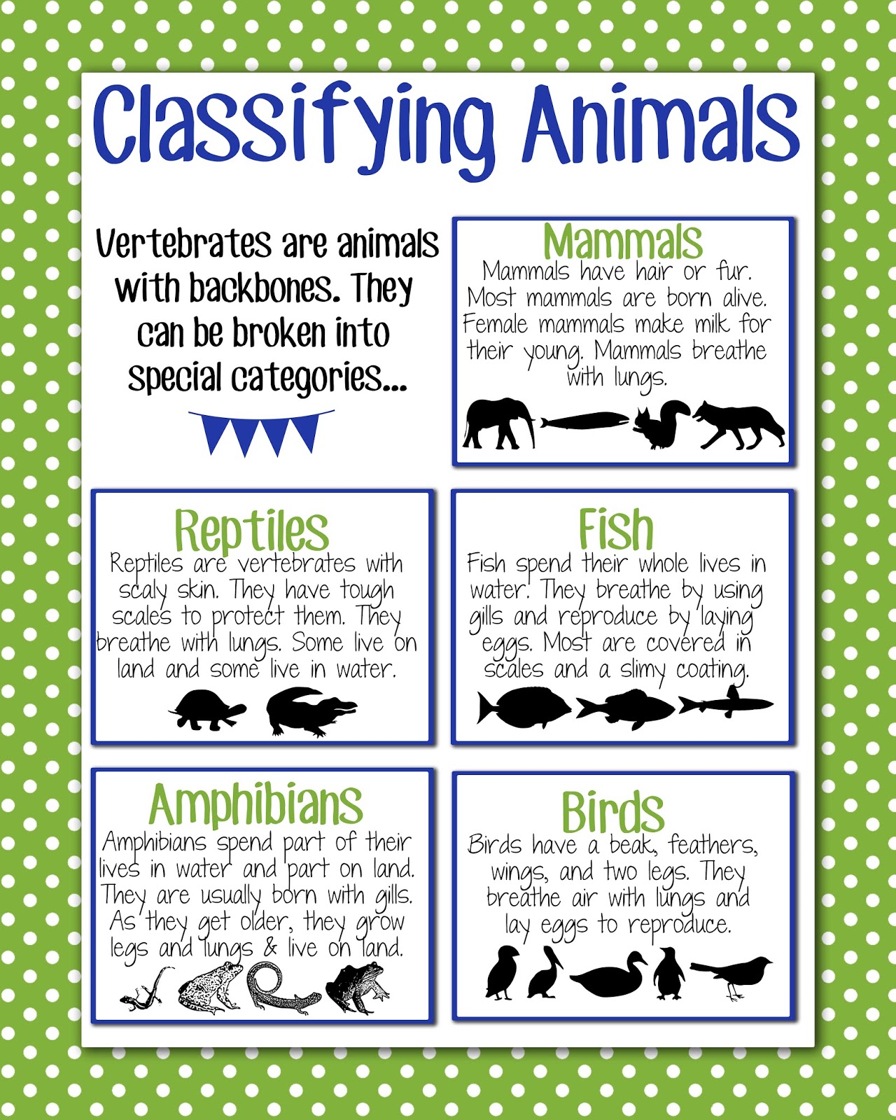 Magic Markers Classifying Animals Magic Markers Classifying Animals
