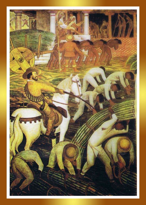 Guía del Plantabosques: CACAO Y AZÚCAR
