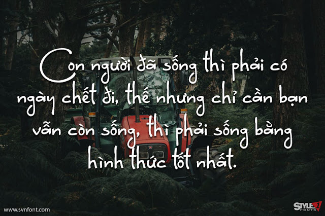 Tổng Hợp 10 Font Việt Hóa Đẹp Cho Thiết Kế SVN-Brunette font viết tay quyến rũ
