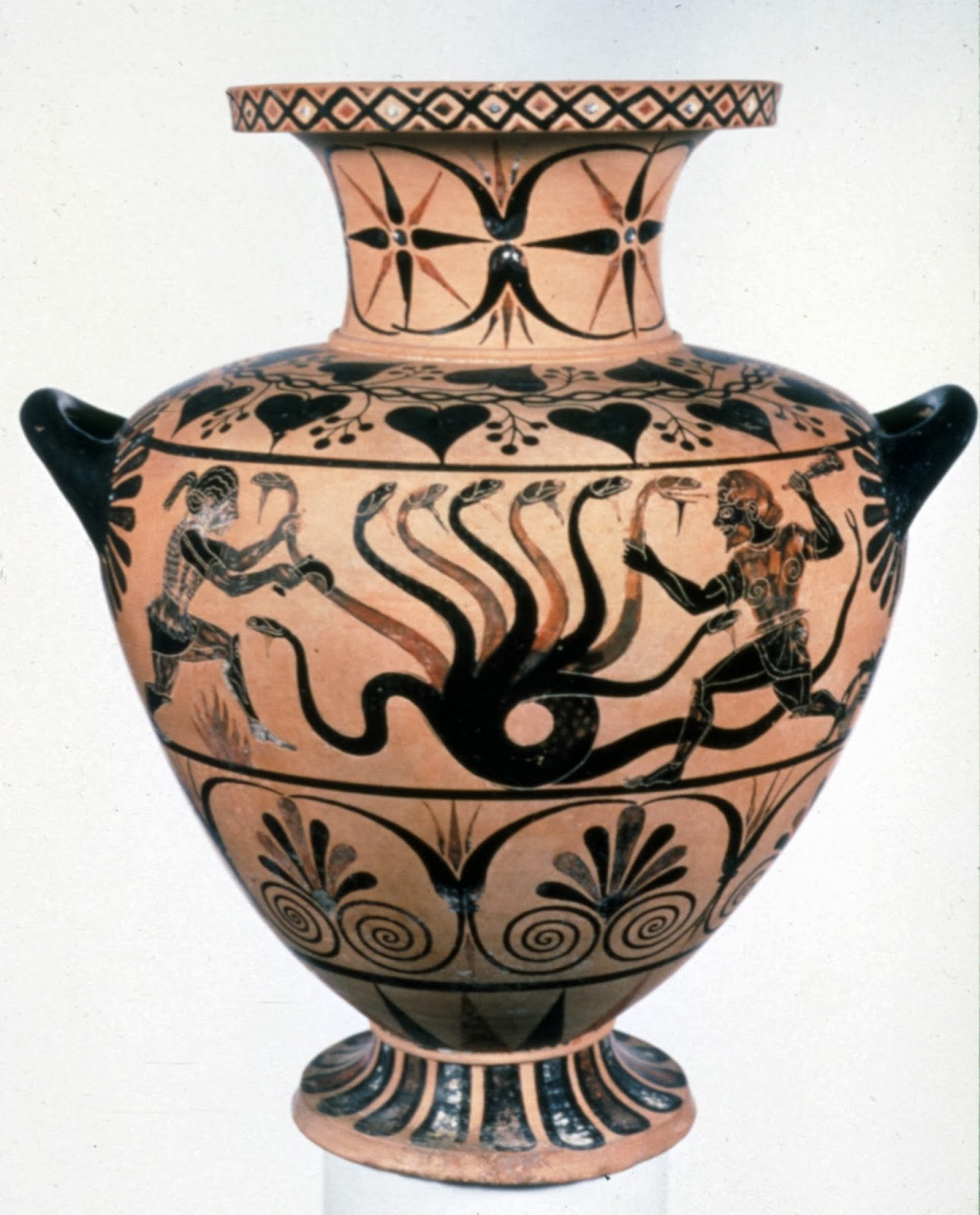 чернофигурная амфора геракл. греческая вазопись геракл. амфора чернофигурная вазопись геракл и немейский лев. древнегреческие вазы с гераклом. подвиги геракла вазопись.