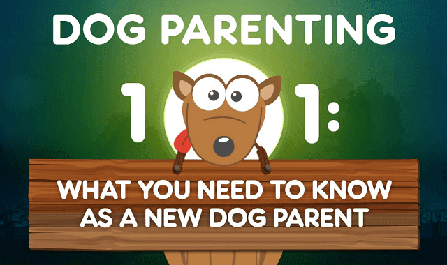 what do you need for a new puppy what you need to as new parent infographic visualistan what do you need for a new puppy what you need to as new parent infographic visualistan