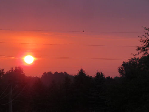 red sunrise