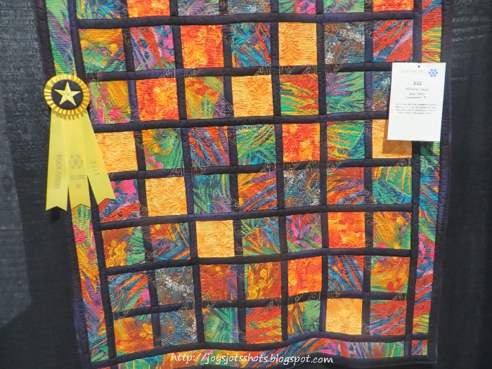 Joy's Jots, Shots & Whatnots Quilt Fest of Jacksonville 2015 Part 3