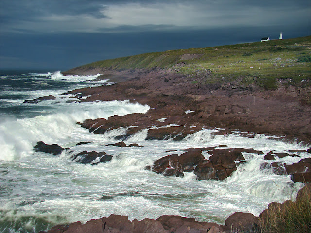 Food that I will Never Eat Again - Seal Flipper Cape-Spear-Canada-Newfoundland