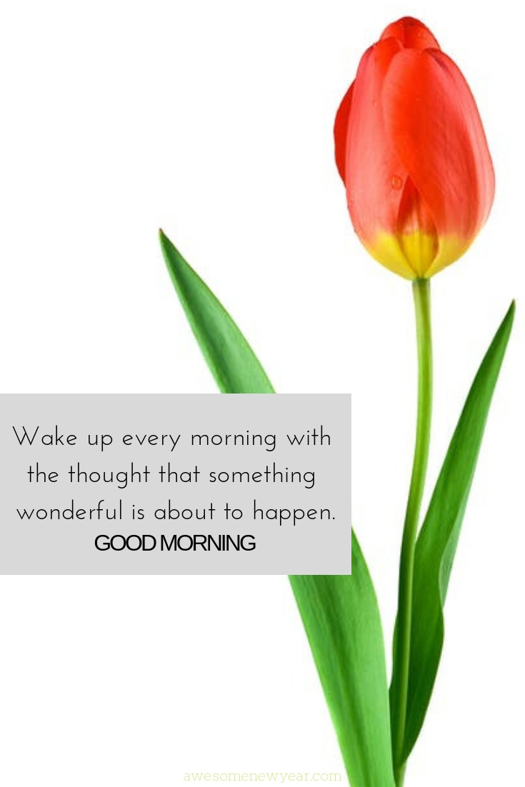 29 Thoughtful Gud Mrng Quotes to Start Day the Right Way