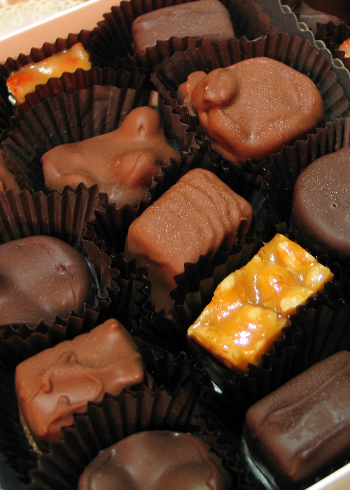 Food Notebook Nuts about See's Candies