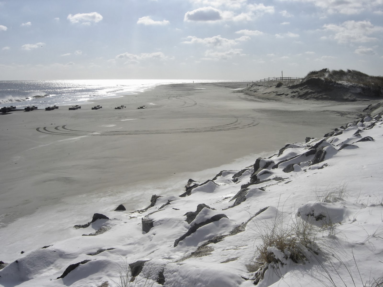 Wildwood Weather Winter Forecast