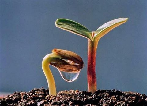 " Vạn Sự Tùy Duyên Chữ Hán, Chữ Duyên Trong Phật Giáo Vạn Sự 1 *