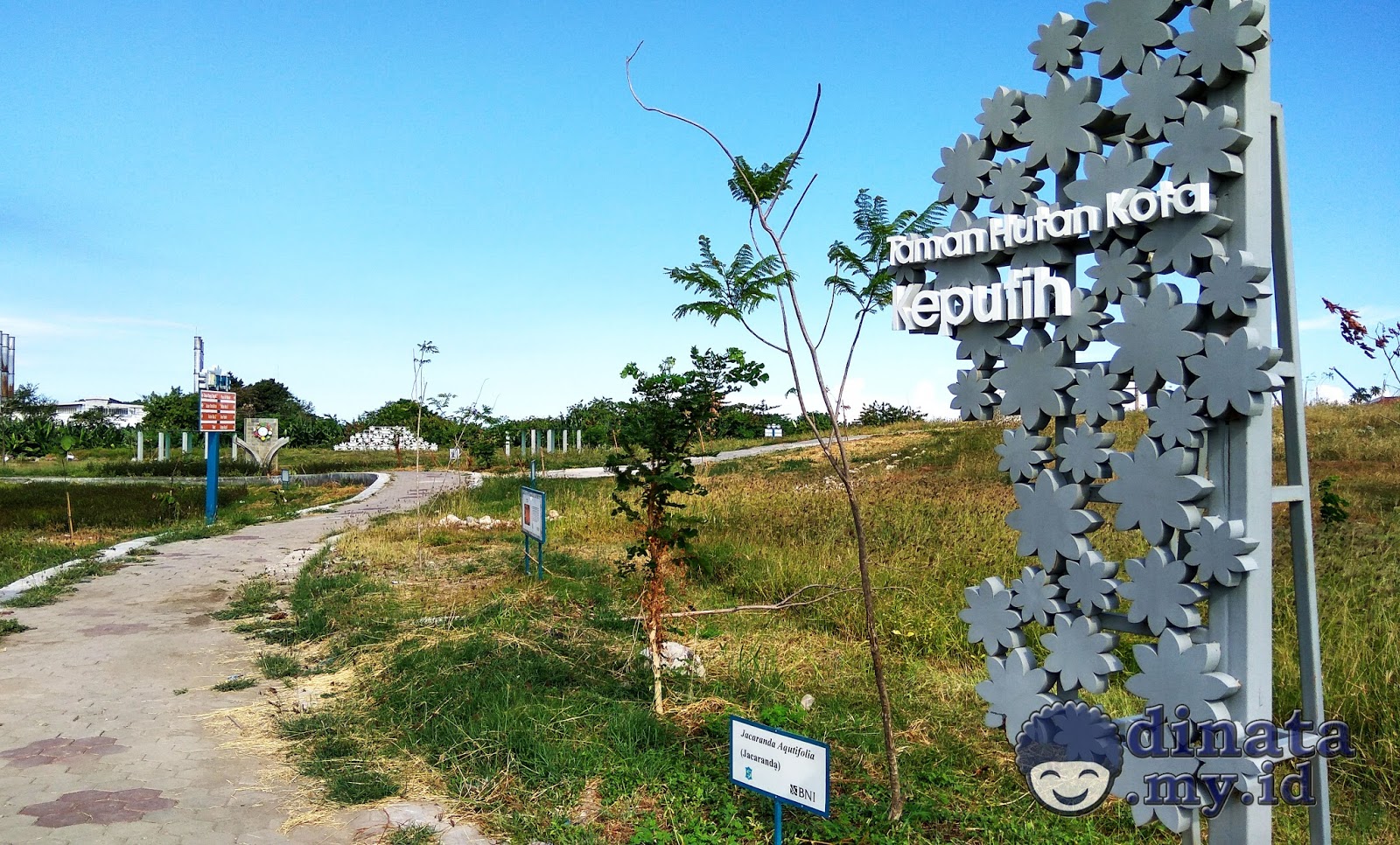 Taman Sakura Keputih Surabaya Taman Pinggiran Surabaya Timur Taman Sakura Keputih Surabaya Taman Pinggiran Surabaya Timur