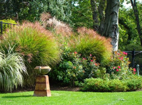 Prepare Your Garden For The Summer