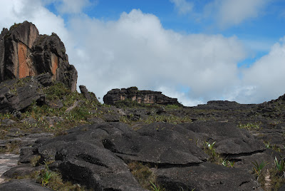 Plateau Roraima Plateau Roraima