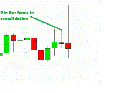 Forex ptc