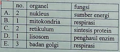 Perhatikan gambar sel berikut! Hubungan yang tepat antara nomor