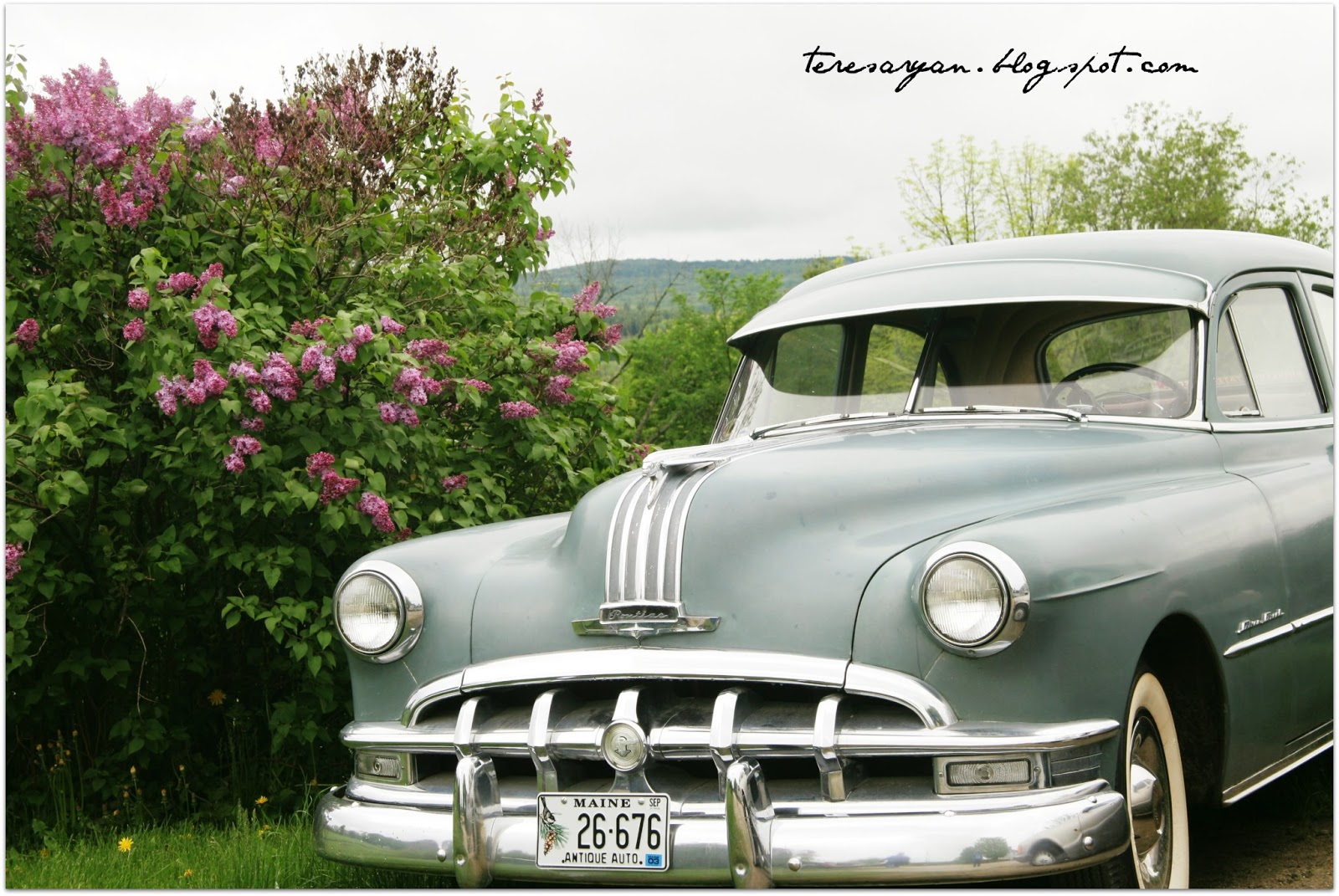 Teresa Ryan : Image Dump