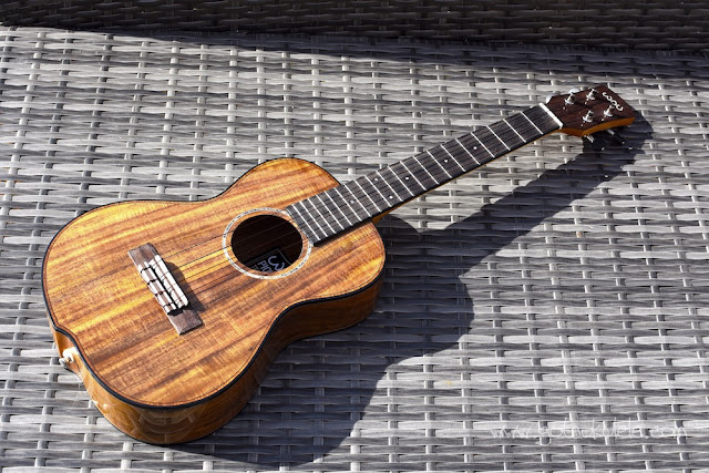 Ukulele reviews and beginners tips World Of GOT A UKULELE