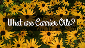 carrier oils explained
