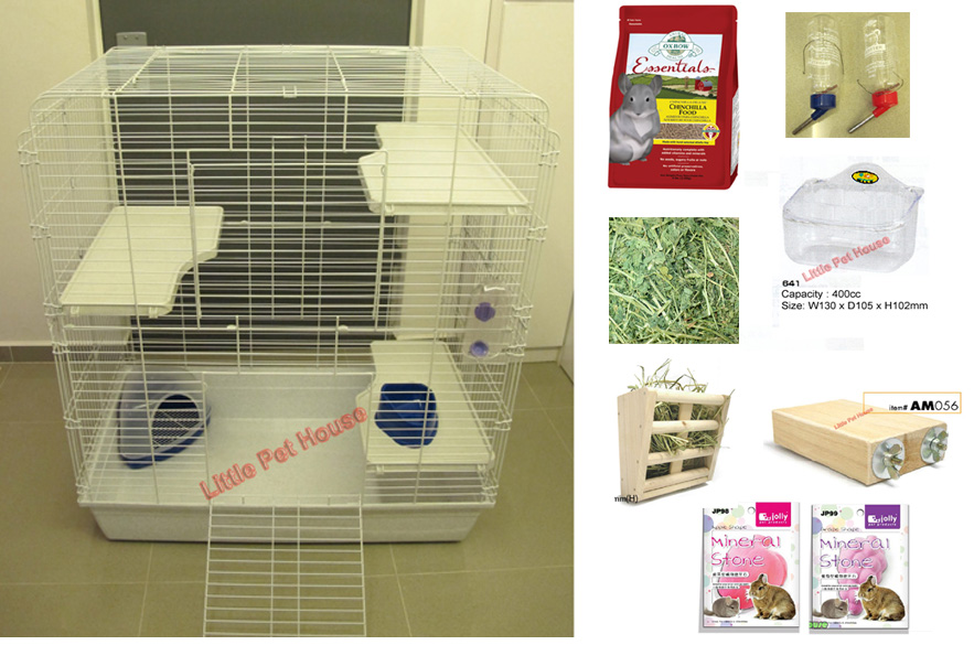 Little Pet House Your Budget Friendly Online Pet Shop in Singapore