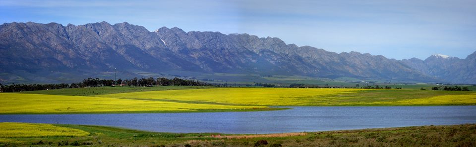 Tulbagh