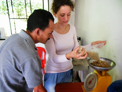 gourmet coffee coffee roasting