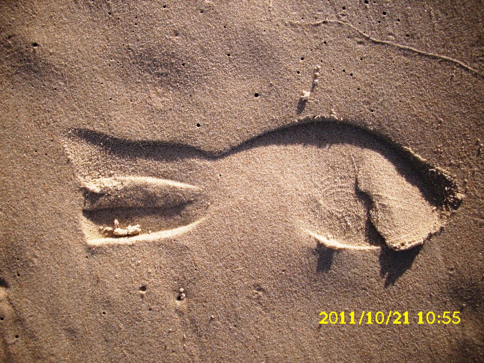 šis tas apie šį tą (287) Tarp kitko dar apie vieną galimą/laukiamą knygą