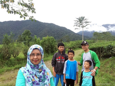 Perkebunan Teh Gunung Mas Puncak agrowisata