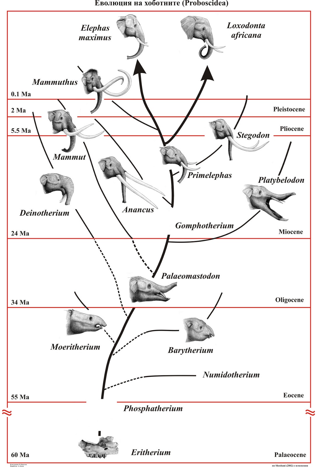 When Europe Was An Ocean Elephants Of Antiquity