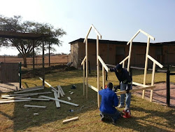 coop chicken hartford