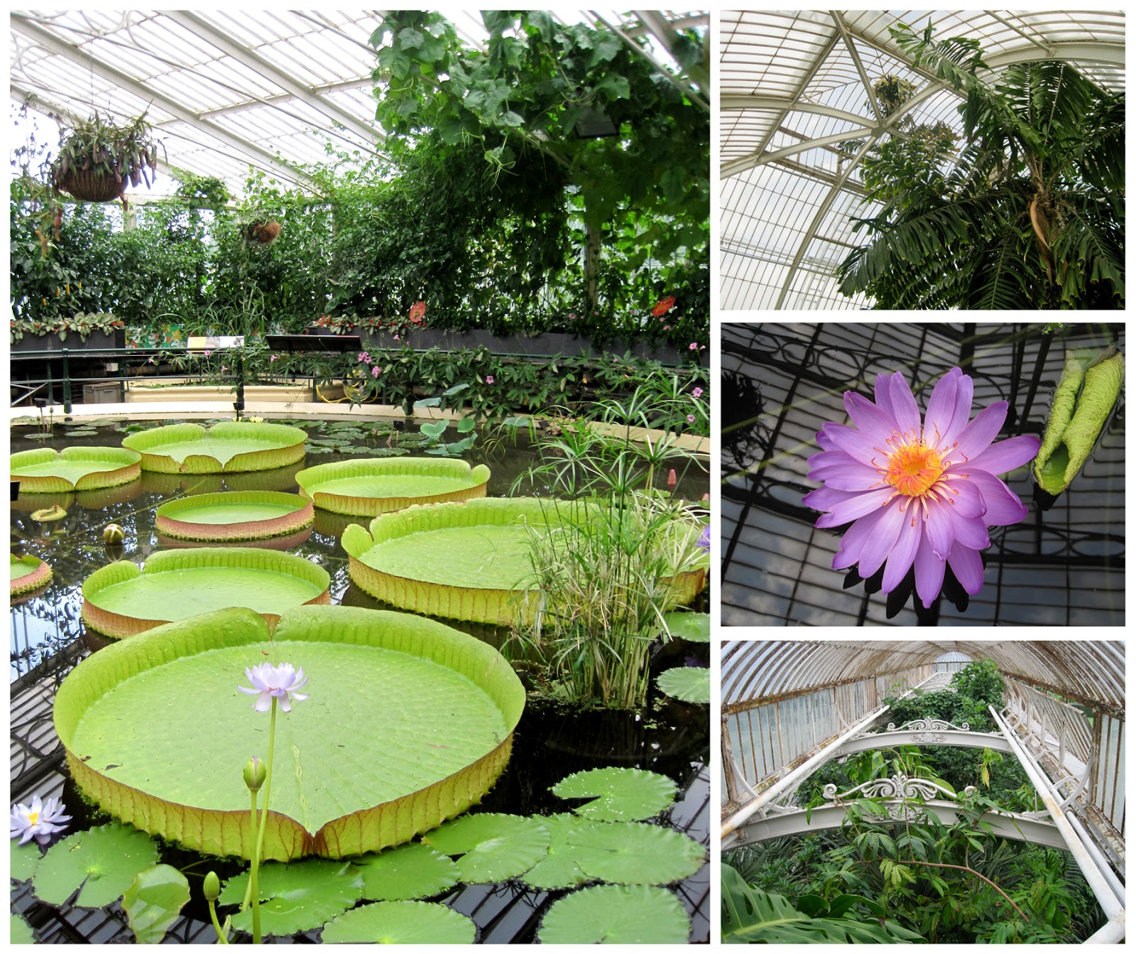 Alice Stanne Day 5 Kew Gardens