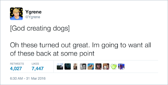 idling to rule the gods pets idling to rule the gods pets