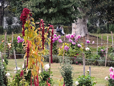 Shalimar Garden