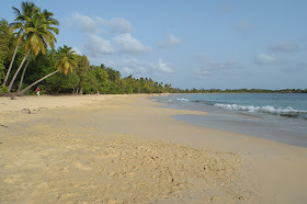 La plage de la Grande Anse des Salines