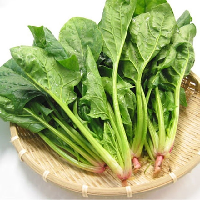 Điểm danh những loại thực phẩm tốt cho da Điểm danh những loại thực phẩm tốt cho da