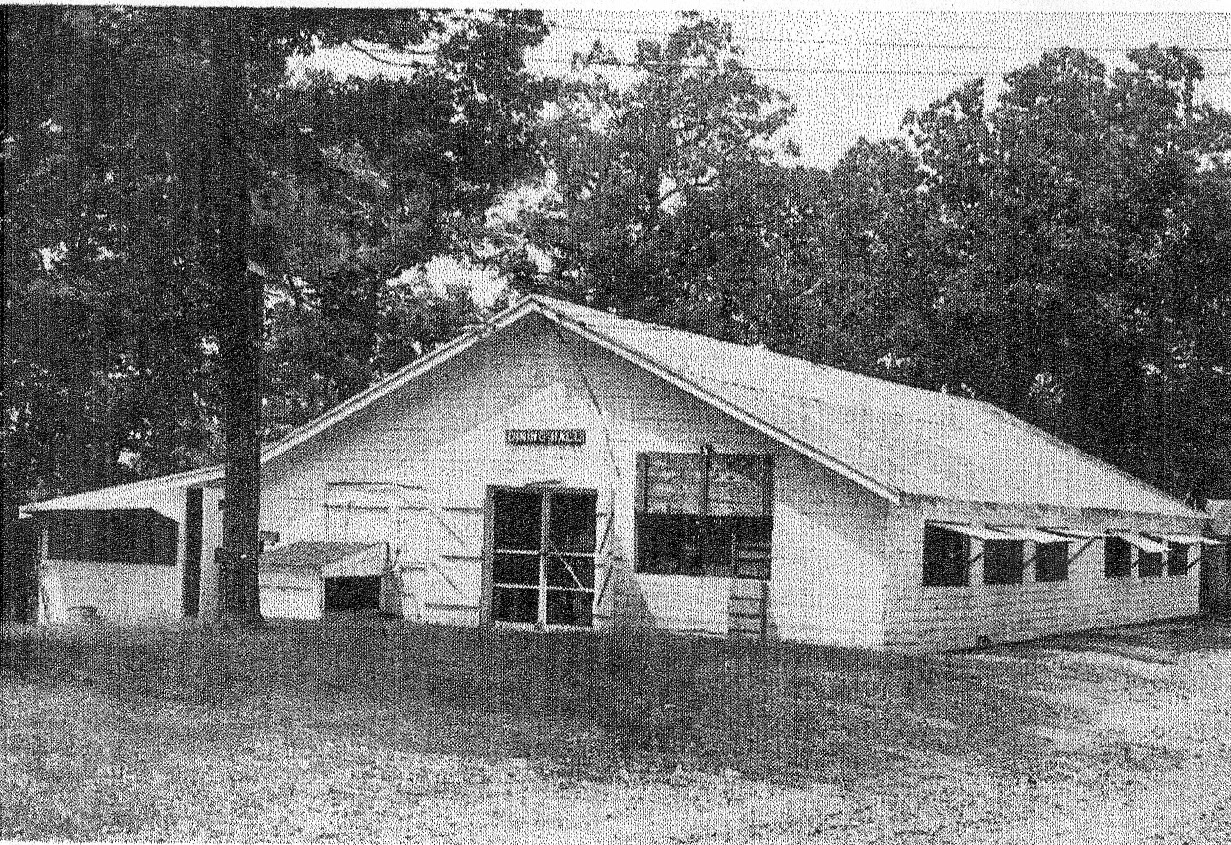Spring Christian Church Camp 1936 Historic Camp Pictures