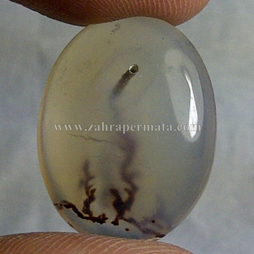 4000+ Gambar Cincin Rumput HD Paling Baru 4000+ Gambar Cincin Rumput HD Paling Baru