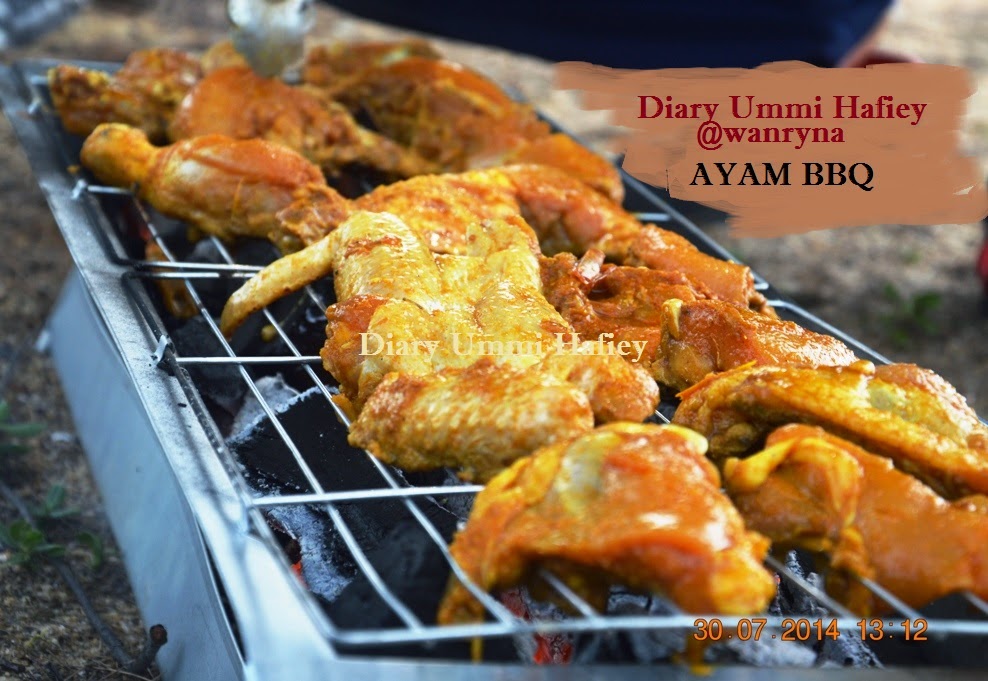 Diary Ummi Hafiey: Cerita Raya ke3 - Picnic &amp; Ayam BBQ