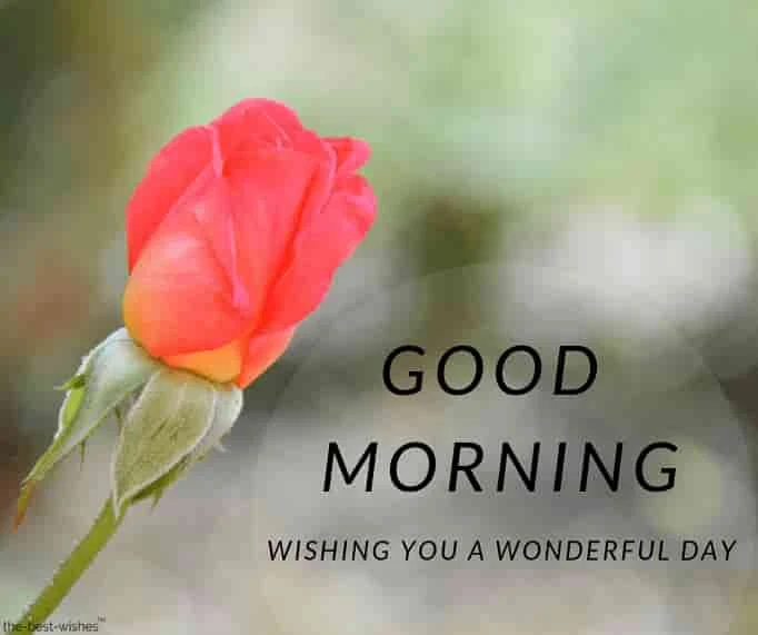 wishing you a wonderful day good morning
