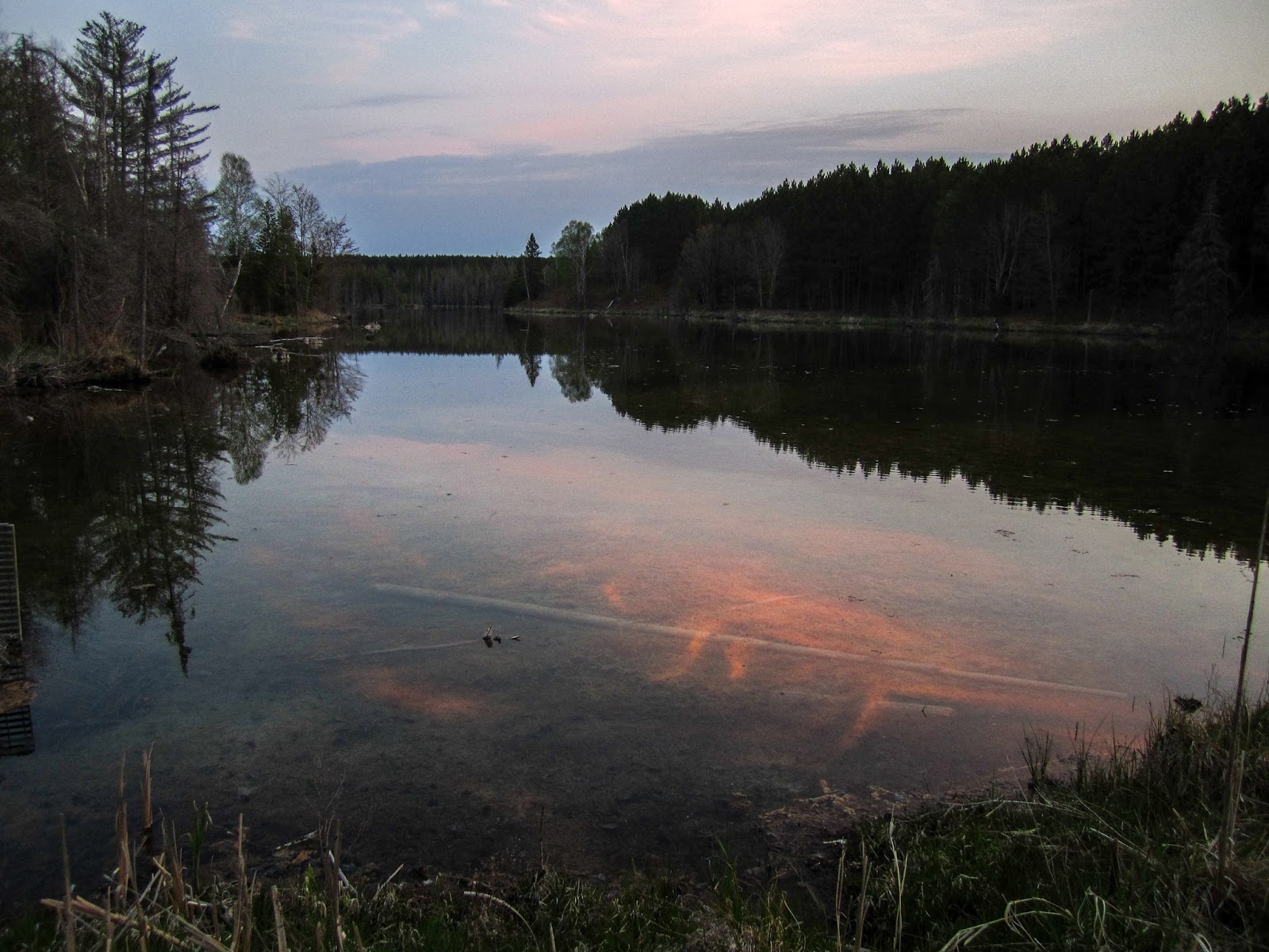 Eric's Hikes North Country Trail between Tahquamenon River and Trout