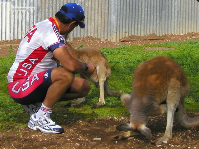 Don't feed the Roo's