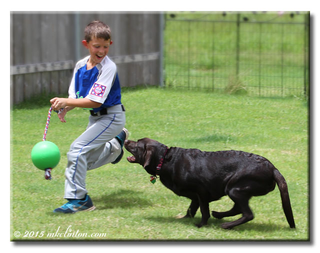 A boy and his dog playing chase.