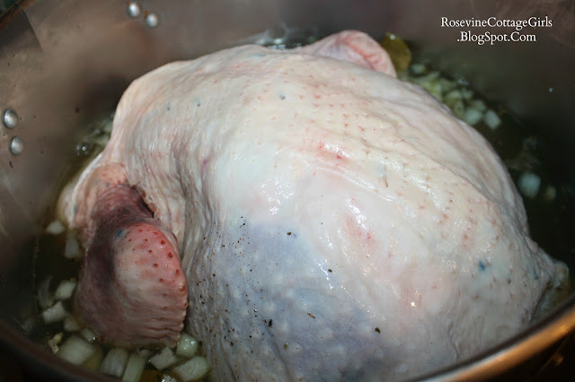 How to brine a turkey, Thanksgiving Turkey, How to have a moist turkey, Turkey brining
