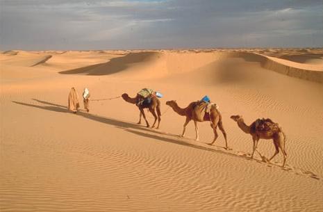 Resultado de imagem para Israel atravessa o deserto