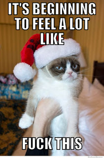 Cat Memes Photos Cat Memes Photos