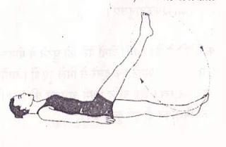 yoga-for-digestion-in-hindi