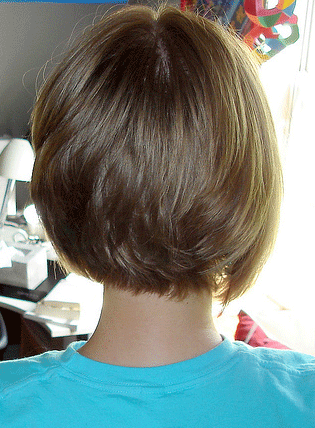 Short Haircuts For Fine Hair Back View