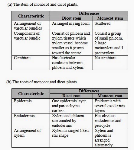 conclusion of plant histology Histology laboratory manual 2016-2017 - researchgate. conclusion of plant histology Histology laboratory manual 2016-2017 - researchgate.
