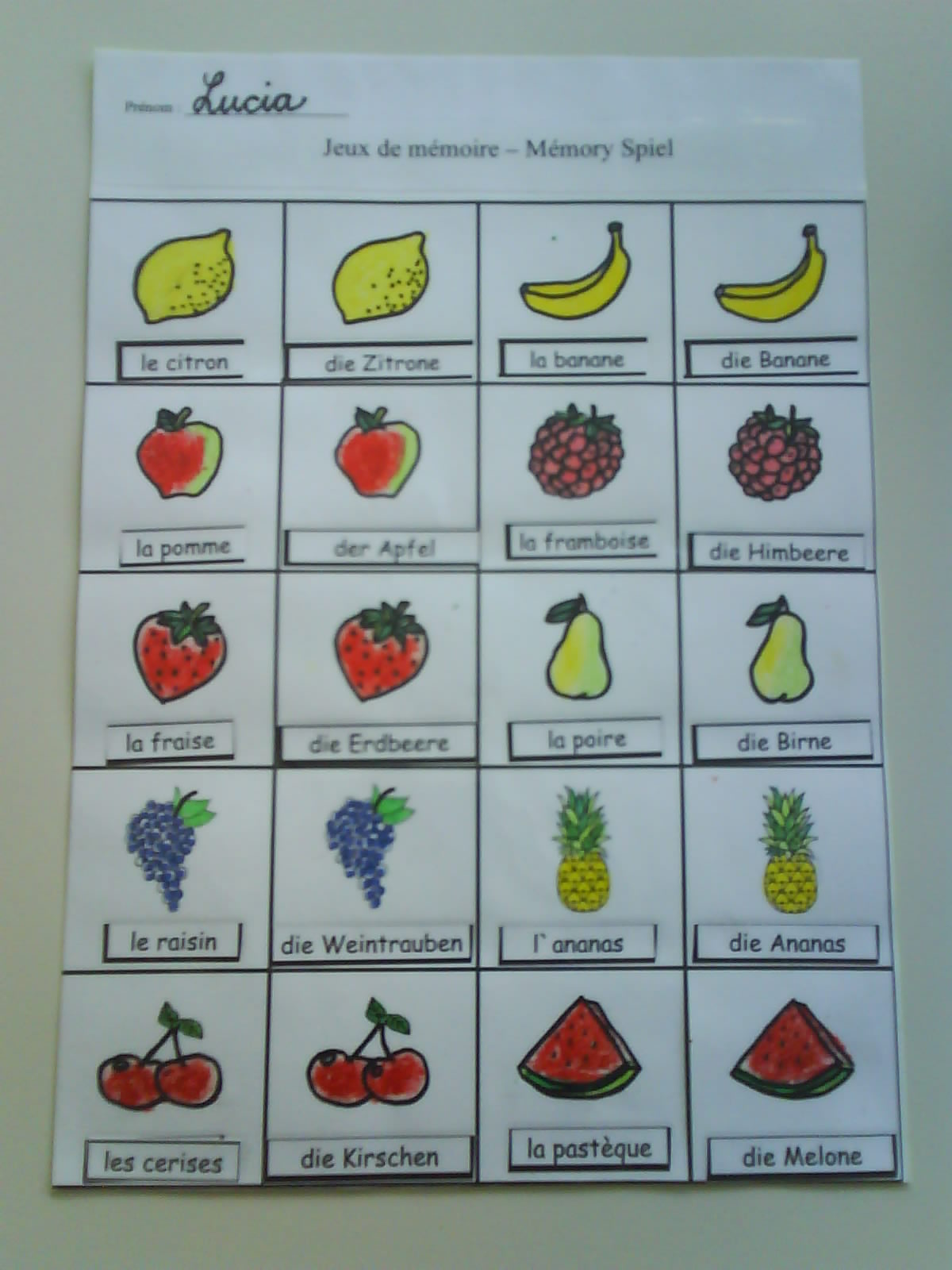 Comenius Projekt 2011 - 2013: Memory Spiel / Memory game