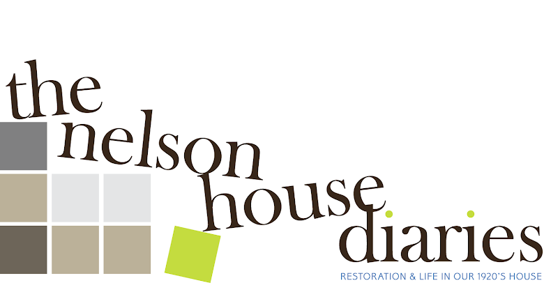 The Nelson House Diaries