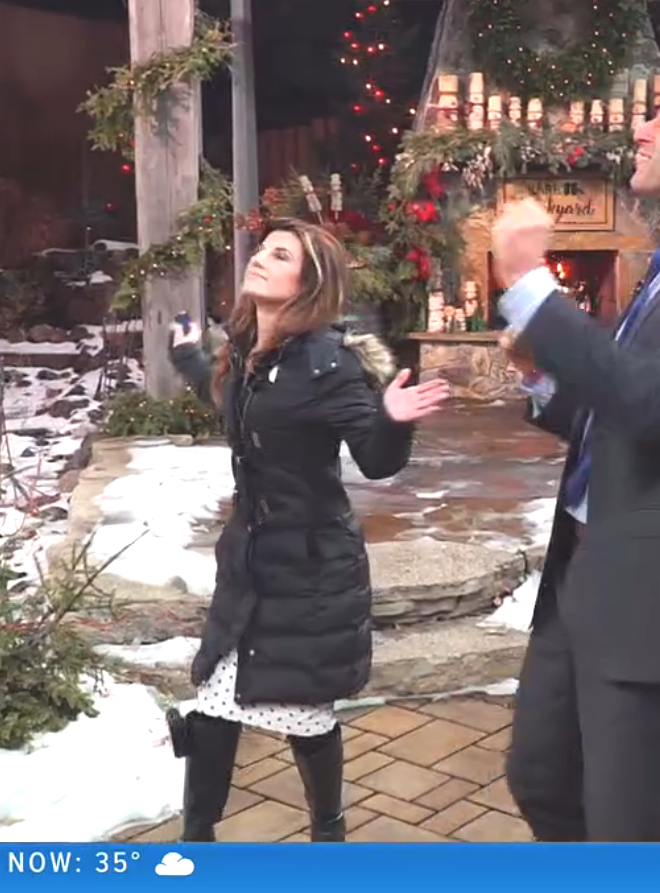 THE APPRECIATION OF BOOTED NEWS WOMEN BLOG tracey anthony