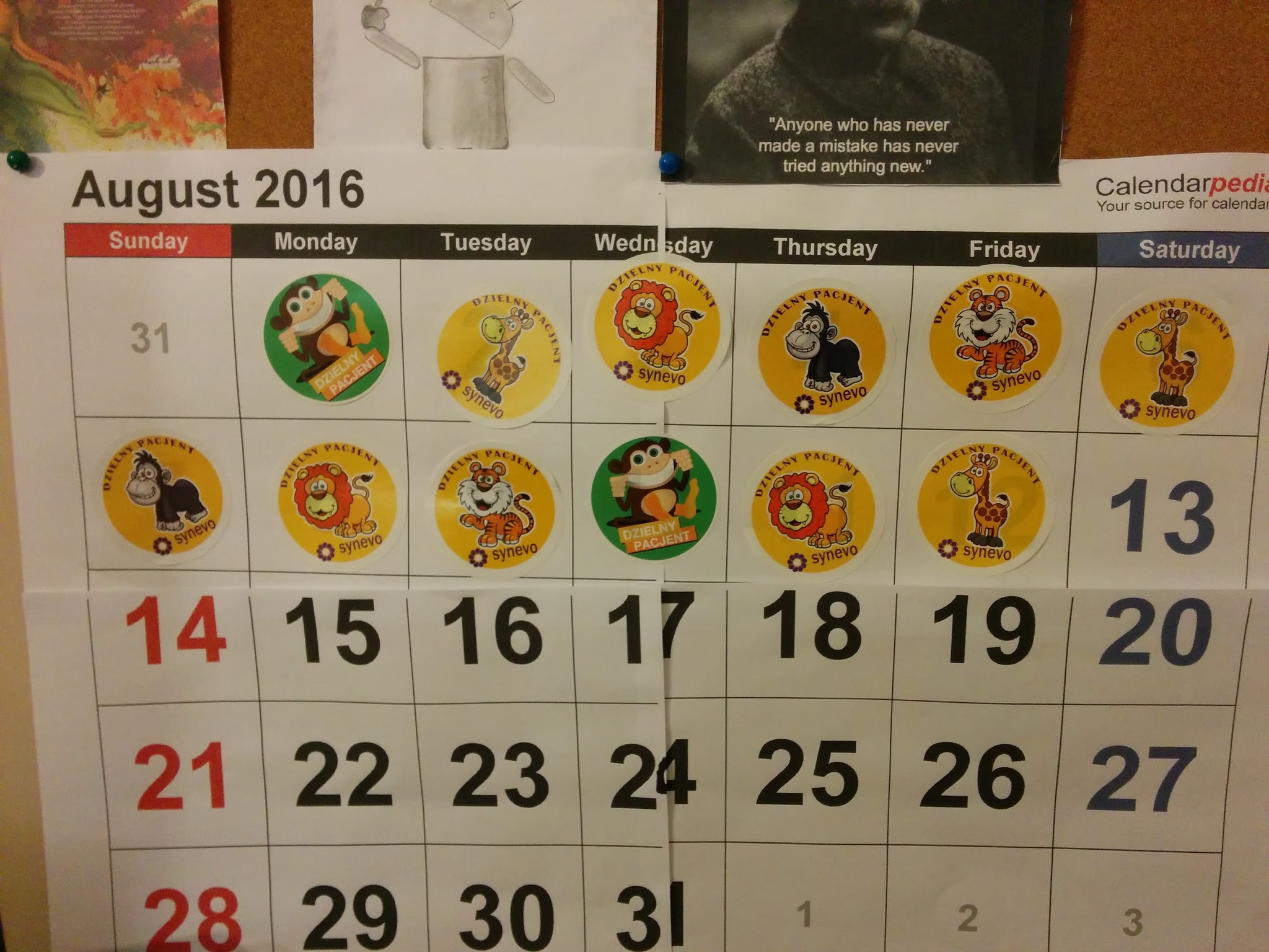 Week review #11 – statystyki, rozwój