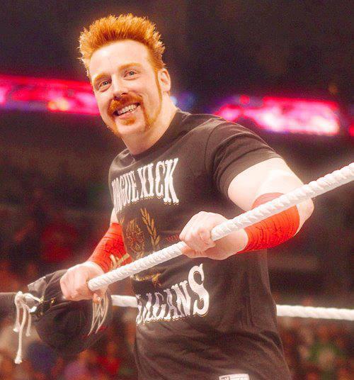 WWE WRESTLEMANIA: Sheamus Got Fox Hair